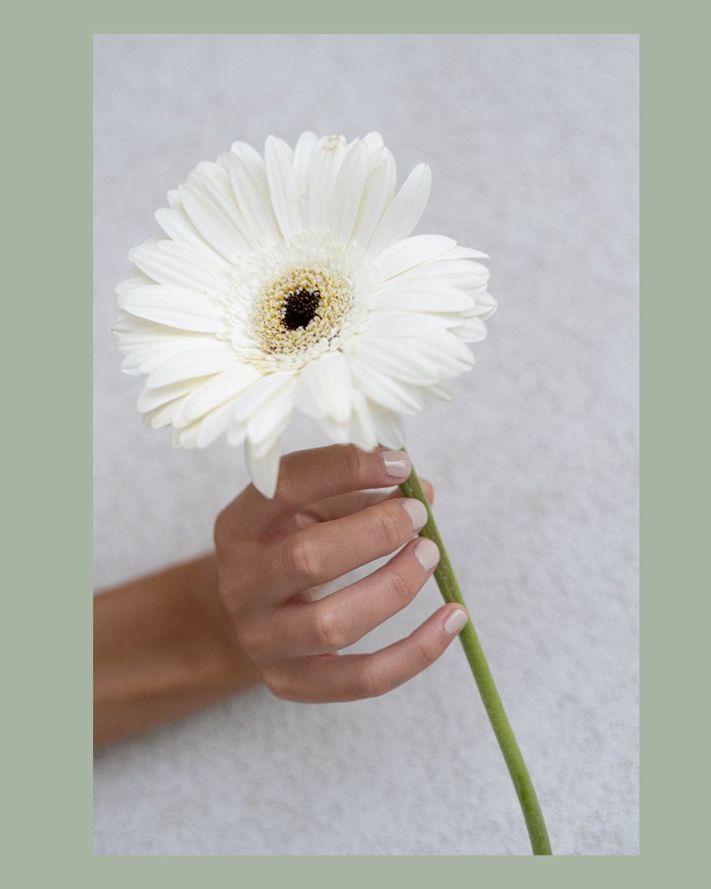 Due dita di donna reggono una margherita bianca, simbolo di bellezza e luminosità.